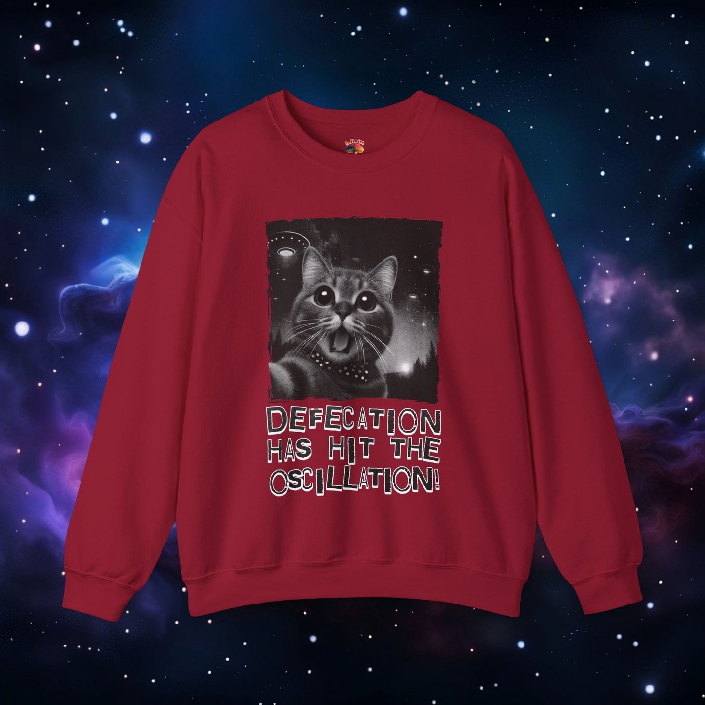 UFO CAT SELFIE SWEATSHIRT