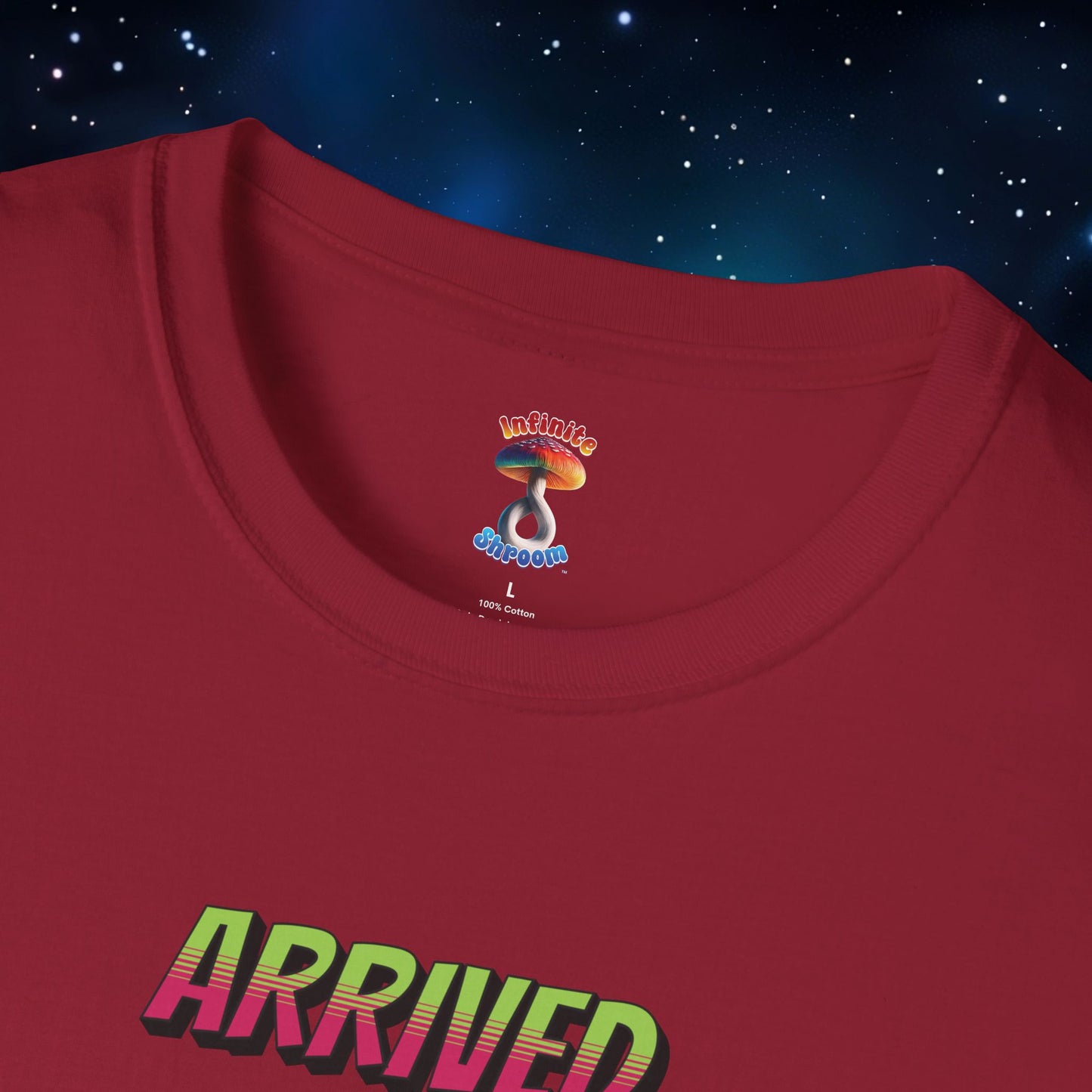 ARRIVED ALIVE SHIRT